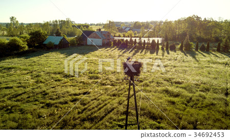 Nest of a stork on Polish countryside 34692453