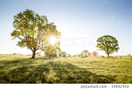 Beautiful morning - new day concept Beautiful morning - new day concept 34692458