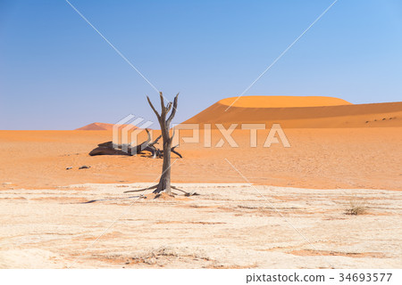 The scenic Sossusvlei and Deadvlei The scenic Sossusvlei and Deadvlei 34693577