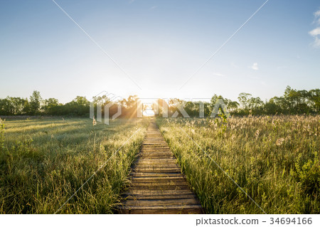 Wooden pier in Biebrza National Park, Poland 34694166