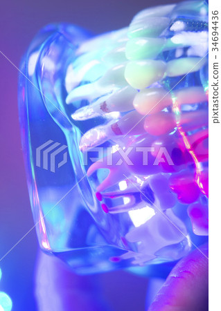 Dental teeth orthodontic model 34694436