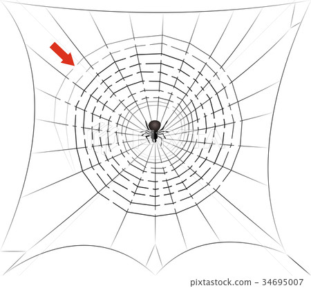 Spider In Spiders Web Center Lurking Spider In Spiders Web Center Lurking 34695007