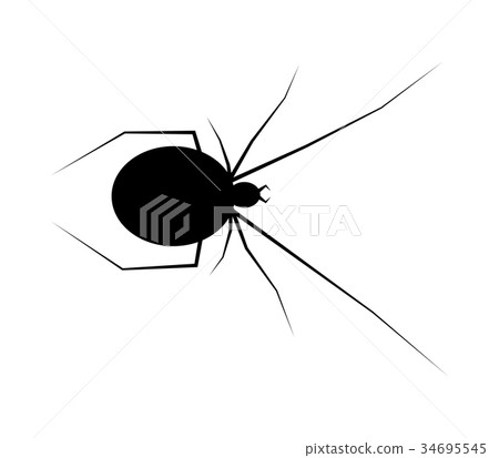 spider black widow silhouette vector symbol icon  34695545