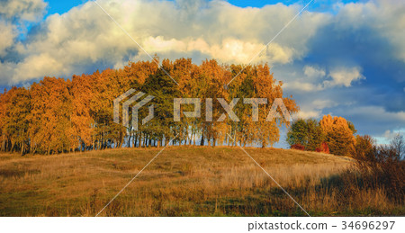 Edge of the colorful forest in autumn Edge of the colorful forest in autumn 34696297
