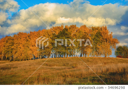 Edge of the colorful forest in autumn 34696298