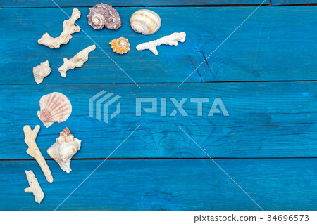 shells and corals on a blue boards, copyspace 34696573