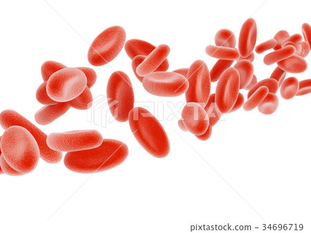 Erythrocyte Erythrocyte 34696719