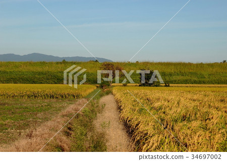 Road scenery 34697002