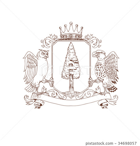 Owl and Hawk Redwood Crown Crest Drawing 34698057