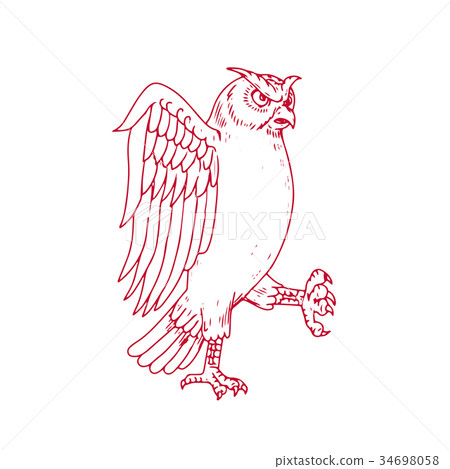 Great Horned Owl Marching Drawing 34698058