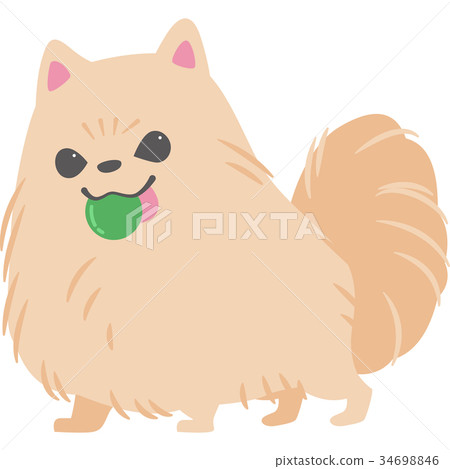 狗玩球（博美犬） 34698846