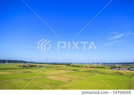Aerial view around Kisarazu City Marika Marida 34700099