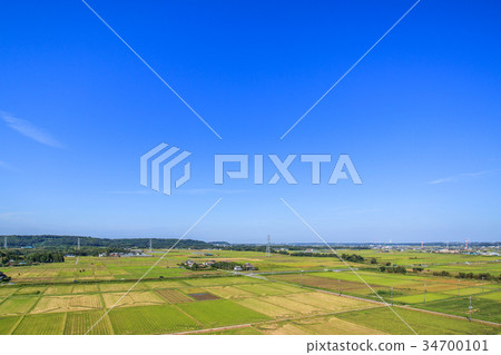 Aerial view around Kisarazu City Marika Marida 34700101