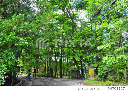 Couple cycling in the old Karuizawa area (watermill road) covered with green trees 34701117