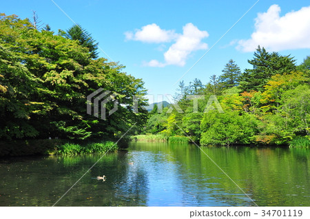 輕井澤的雲場池塘和藍天 34701119