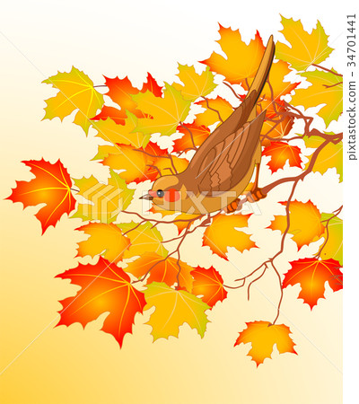 Spring bird background Spring bird background 34701441