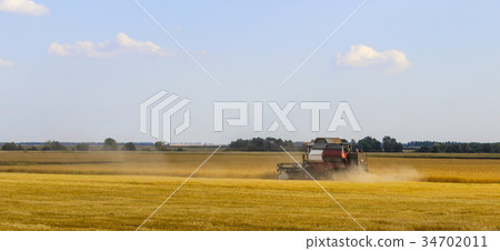 Harvest Harvest 34702011