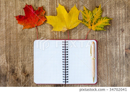 Blank notebook decorated with autumn leaves 34702041