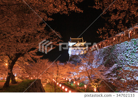 津山城夜櫻花,點亮 - 津山城夜櫻花,點亮 - 34702133