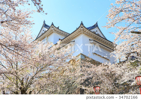 Tsuyama Castle-Spring enchanting cherry blossoms- Tsuyama Castle-Spring enchanting cherry blossoms- 34702166