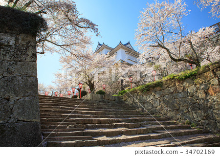 Tsuyama Castle-春天迷人的櫻花 -  34702169