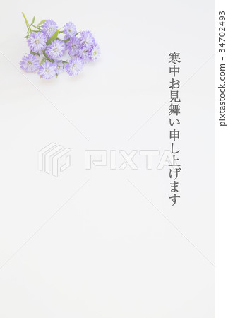 夏季賀卡(孔雀草) 夏季賀卡(孔雀草) 34702493