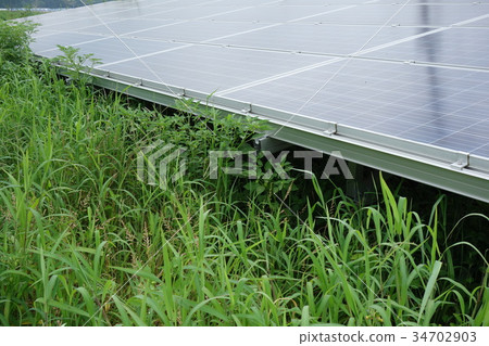 太陽能發電廠覆蓋著雜草 太陽能發電廠覆蓋著雜草 34702903