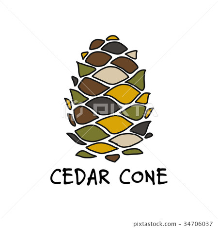 Cedar cone, sketch for your design 34706037