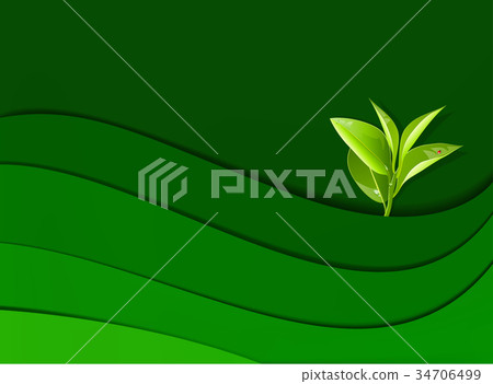 leaf background 34706499