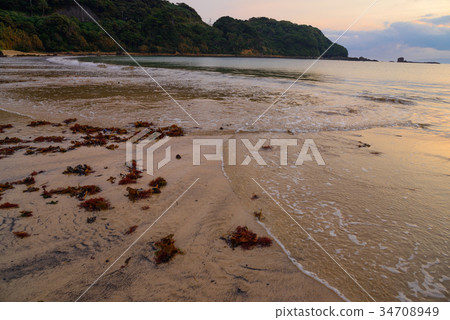 [Shimoda City, Shizuoka Prefecture] The beaches of Touraura Beach 34708949