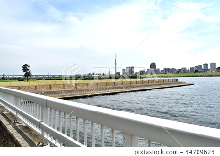 從Arakawa河床的東京天空樹 從Arakawa河床的東京天空樹 34709623