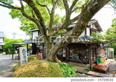 Nokonoshima Island Park Thinking Out Nokonoshima Island Park Thinking Out 34709630