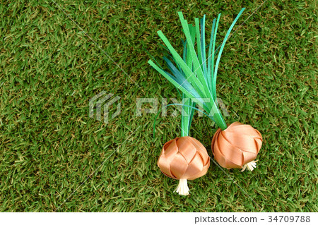 Coin folding with Ribbon is shaped a spring onion  34709788