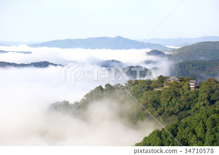 Bitchu Matsuyama Castle Bitchu Matsuyama Castle 34710578