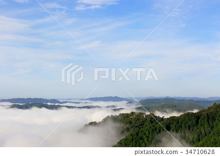 Bitchu Matsuyama Castle 34710628