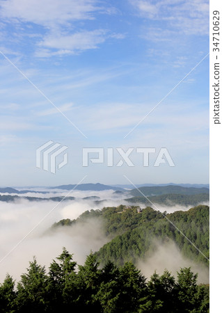 Bitchu Matsuyama Castle 34710629