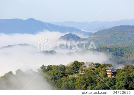 Bitchu Matsuyama Castle Bitchu Matsuyama Castle 34710635