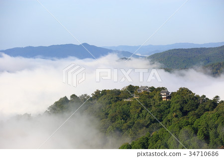 Bitchu Matsuyama Castle 34710686