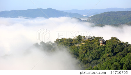 Bitchu Matsuyama Castle 34710705