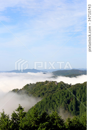 Bitchu Matsuyama Castle 34710743