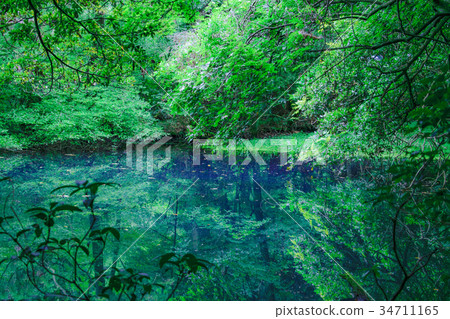 丸池先生 丸池先生 34711165