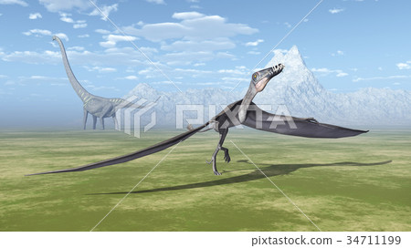 Pterosaur Dorygnathus and dinosaur Mamenchisaurus 34711199