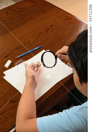 Observation of Fossil Rinconera Small 6 science strata 34711306