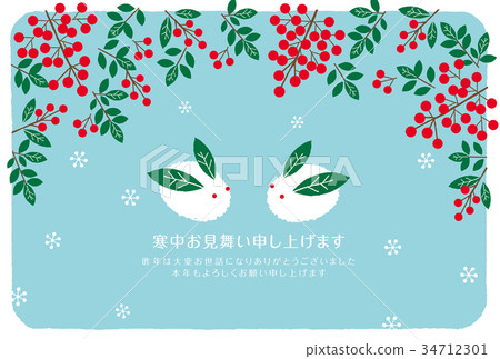 冬天賀卡雪兔子和南部的天空 34712301