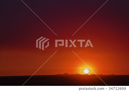 非洲紅通通夕陽 非洲紅通通夕陽 34712609