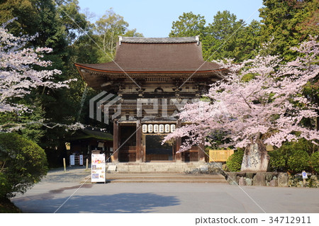 Shiga Spring of Mitsui's Temple Shiga Spring of Mitsui's Temple 34712911