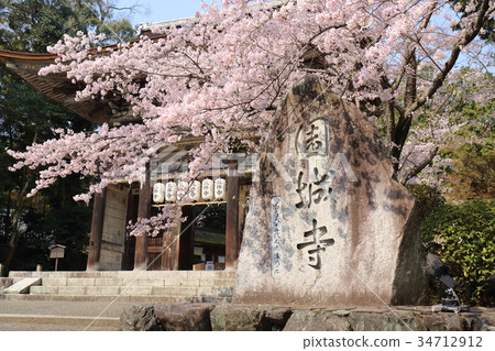 Shiga Spring of Mitsui's Temple Shiga Spring of Mitsui's Temple 34712912