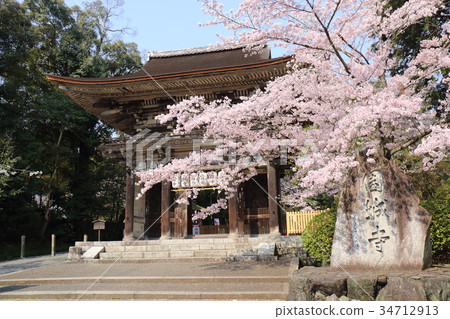 Shiga Spring of Mitsui's Temple Shiga Spring of Mitsui's Temple 34712913