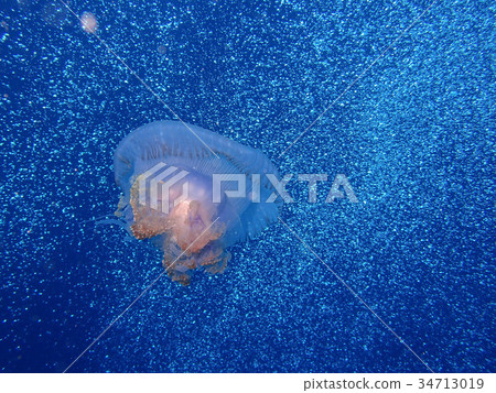 Jellyfish and bubbles Jellyfish and bubbles 34713019