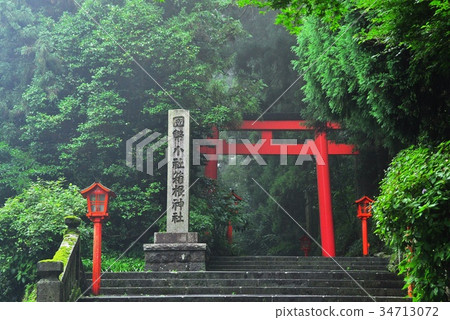箱根神社的紅色鳥居覆蓋著樹木 箱根神社的紅色鳥居覆蓋著樹木 34713072